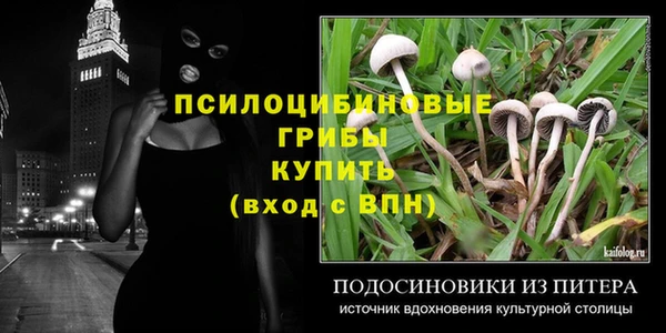 ГАЛЛЮЦИНОГЕННЫЕ ГРИБЫ Алексеевка