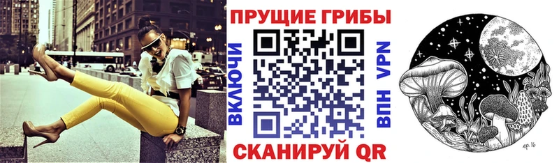 Псилоцибиновые грибы Magic Shrooms  Ахтубинск 
