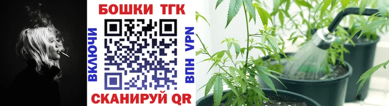 Конопля план  Ахтубинск 